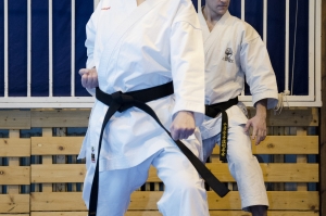 DSC_6774 (2)