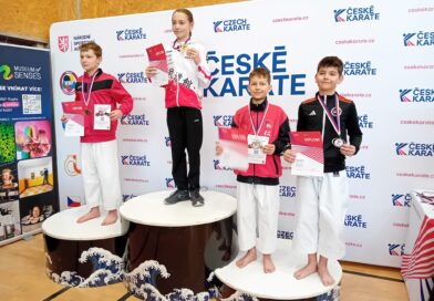 NP ČSKe
